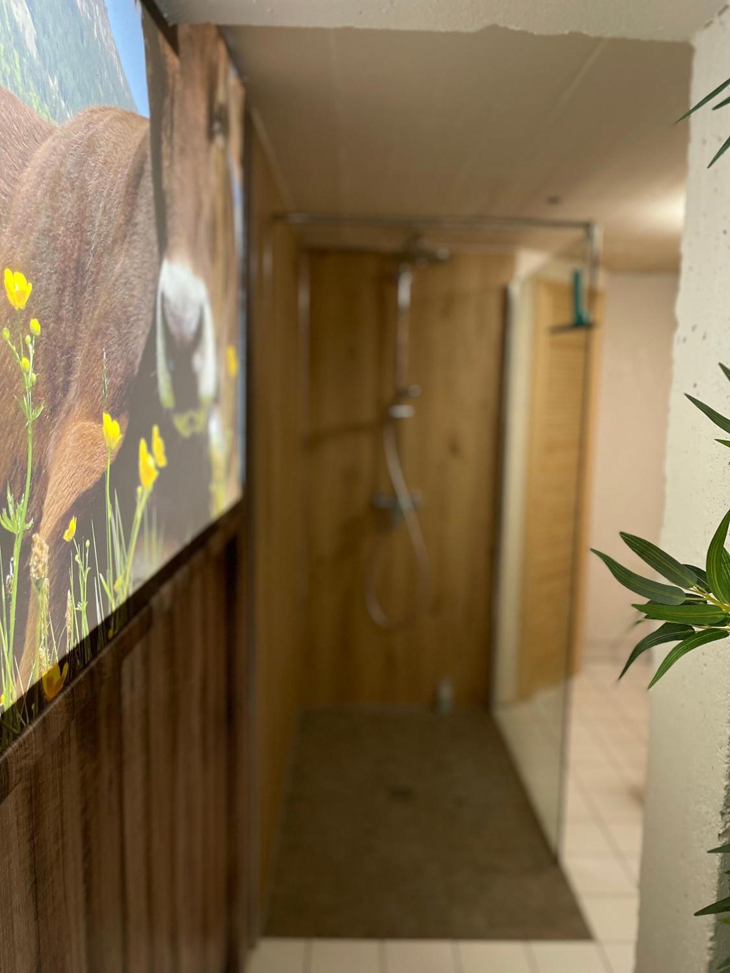 Ferienwohnung Am Muhlbach 21 Mit Bergbahn Unlimited โอเบอร์สทดอร์ฟ ภายนอก รูปภาพ